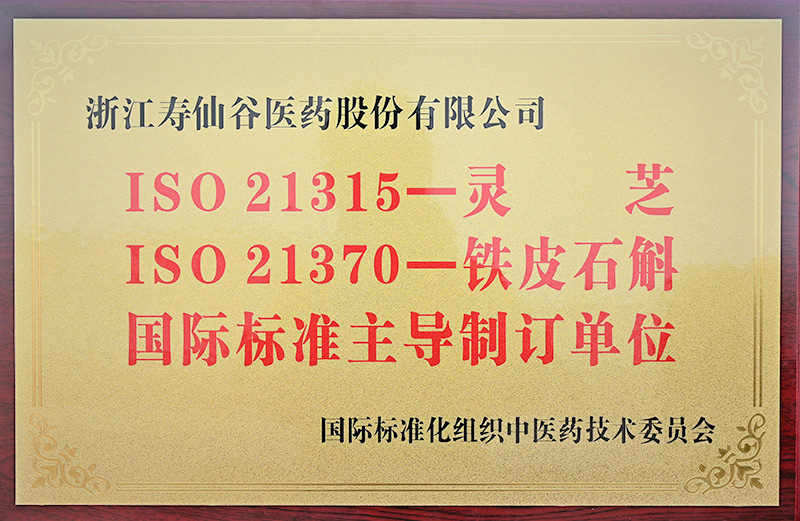 國(guó)際標(biāo)準(zhǔn)主導(dǎo)制訂單位